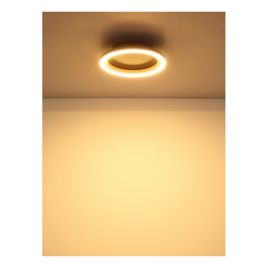 Globo - Plafoniera LED/12W/230V 3000K Ø 20,5 cm