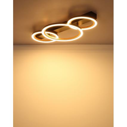 Globo - Plafoniera LED/40W/230V 3000K 58x30 cm