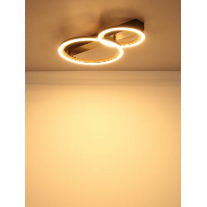 Globo - Plafoniera LED/30W/230V 3000K 44x30 cm