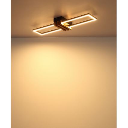 Globo - Plafoniera LED/20W/230V 3000K 60x16,8 cm