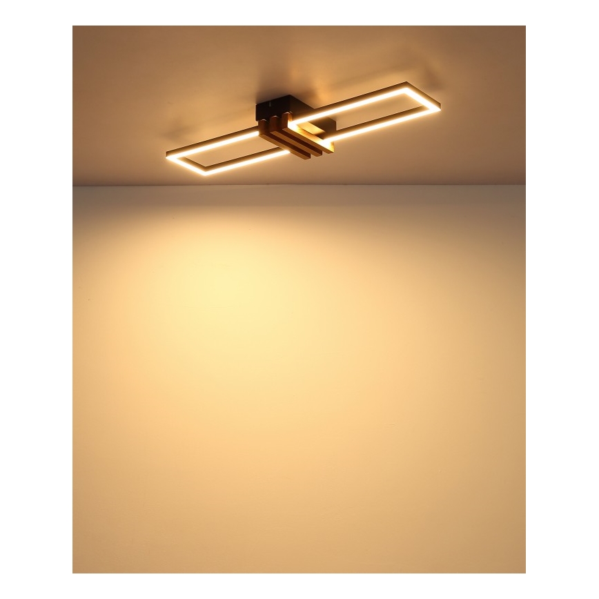 Globo - Plafoniera LED/20W/230V 3000K 60x16,8 cm