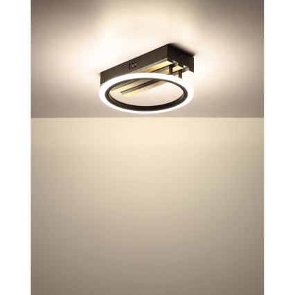 Globo - Plafoniera LED/10W/230V 3000/4200/600K 25x25 cm