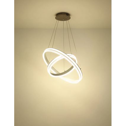 Globo - Lampadario a sospensione LED dimmerabile su cavo LED/60W/230V 2700-6000K + telecomando