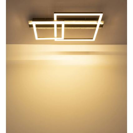 Globo - Plafoniera LED/30W/230V 3000K 33x56 cm