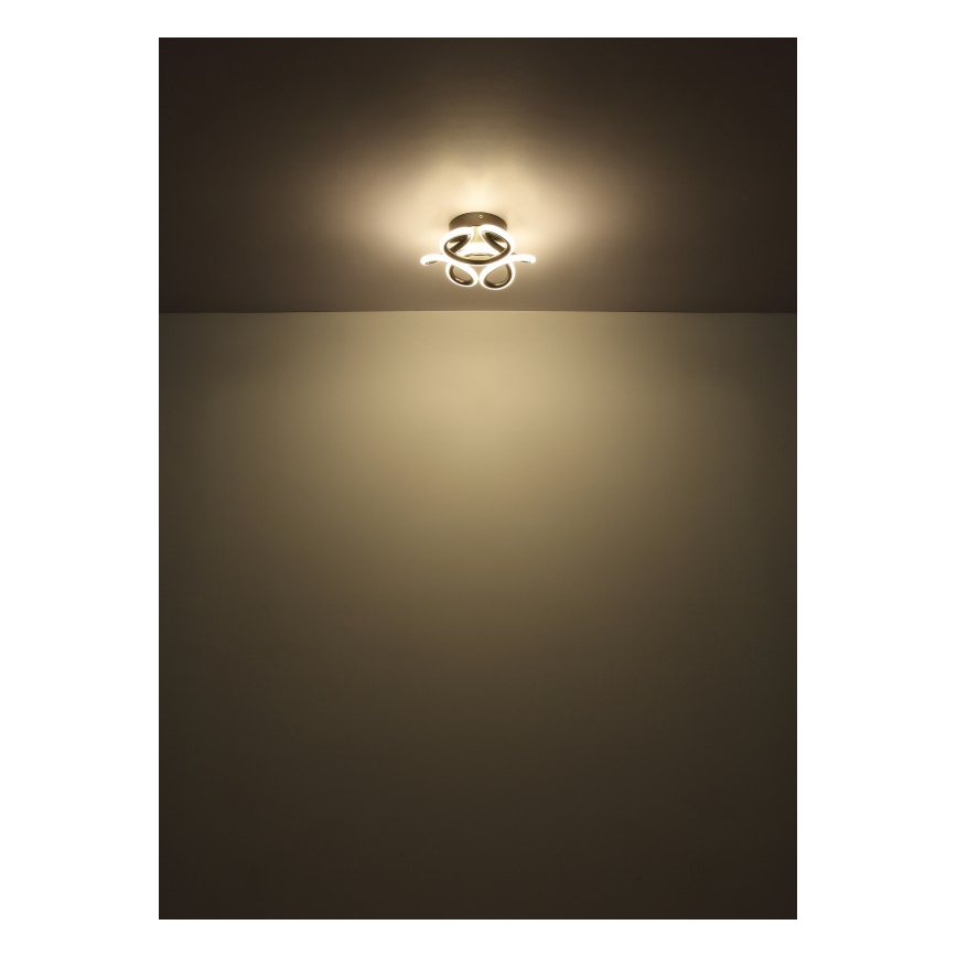 Globo - Plafoniera LED LED/24W/230V 2700/4000/6000K diametro 26 cm nero