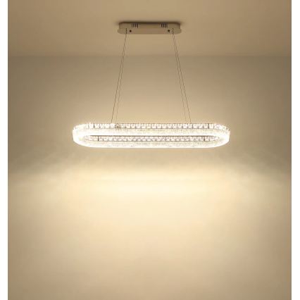 Globo - Lampadario LED dimmerabile a sospensione su cavo LED/40W/230V 2700-6000K trasparente + telecomando