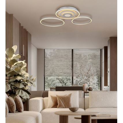 Globo - Plafoniera a LED dimmerabile LED/40W/230V 2700-6500K 57x99,2 cm argento + telecomando