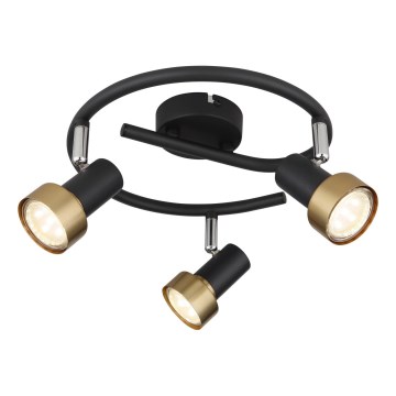 Globo - Faretto  3xGU10/25W/230V nero/oro