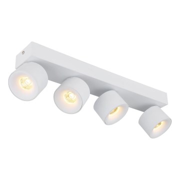Globo - Faretto LED 4xLED/6W/230V bianco