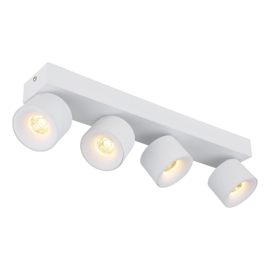 Globo - Faretto LED 4xLED/6W/230V bianco