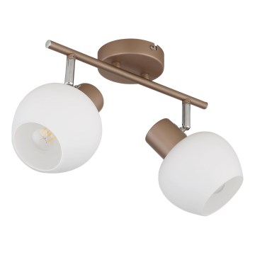 Globo - Faretto orientabile 2xE27/40W/230V