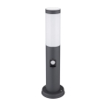 Globo - Lampada da esterno con sensore BOSTON 1xE27/60W/230V