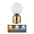 Globo - Lampada da tavolo LED dimmerabile con touch LED/2,5W/3,7V 2700K/4000K/6500K 1800 mAh USB ottone