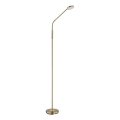 Globo - Lampada da terra dimmerabile a sfioramento LED/6,5W/230V 2700/3350/4000K ottone