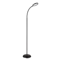 Globo - Lampada da terra dimmerabile a sfioramento LED/8W/230V 2700K/4000K/6500K nera