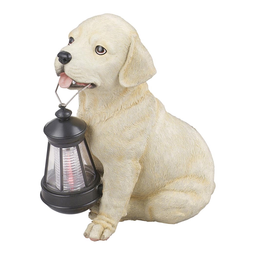 Globo - Lampada LED solare LED/0,06W/3V cane IP44 600 mAh