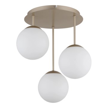 Globo - Lampadario a plafone 3xE14/25W/230V ottone