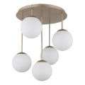 Globo - Lampadario a plafone 5xE14/25W/230V ottone