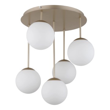 Globo - Lampadario a plafone 5xE14/25W/230V ottone