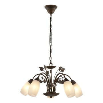 Globo - Lampadario a sospensione con catena 5xE14/40W/230V