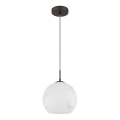 Globo - Lampadario a sospensione con cavo 1xE27/60W/230V Ø 25 cm