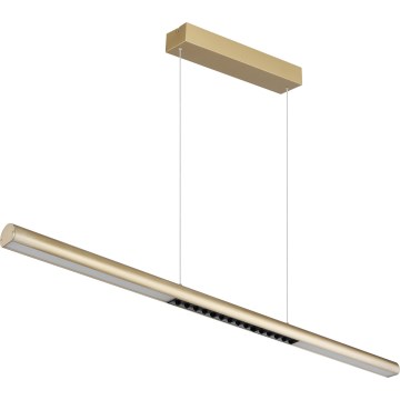 Globo - Lampadario a sospensione su cavo LED/24W/230V 3000K