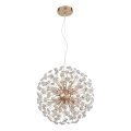 Globo - Lampadario LED a sospensione con cavo 8xG9/3,5W/230V, finitura oro