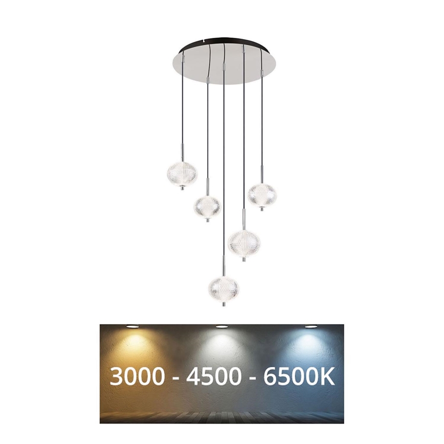 Globo - Lampadario LED a sospensione con filo 5xLED/6,6W/230V 3000/4500/6500K