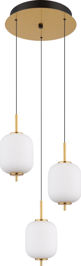 Globo - Lampadario LED a sospensione con filo LED/20W/230V