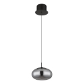 Globo - Lampadario LED a sospensione con filo LED/6W/230V nero