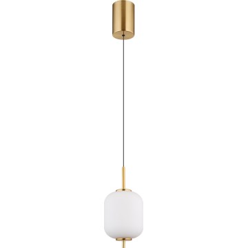 Globo - Lampadario LED a sospensione con filo LED/7W/230V