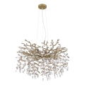 Globo - Lampadario sospeso con cavo 10xE14/40W/230V dorato