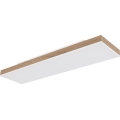 Globo - LED Plafoniera da soffitto dimmerabile LED/24W/230V 2700-6500K 20x80 cm + telecomando