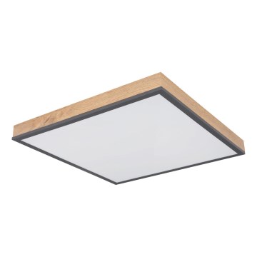 Globo - LED plafoniera da soffitto dimmerabile LED/24W/230V 3000-6500K 45x45 cm