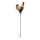 Globo - LED Solare decorazione LED/0,02W/3V IP44 gallo
