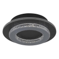 Globo - Plafoniera LED/12W/230V, 3000/4000/6500K, Ø 20 cm, antracite