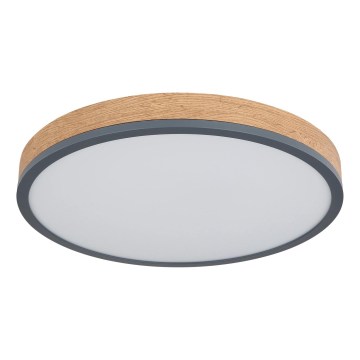Globo - Plafoniera LED dimmerabile 24W/230V 2700-6500K diam. 45 cm