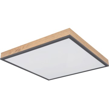 Globo - Plafoniera LED dimmerabile LED/24W/230V 3000-6500K 45x45 cm