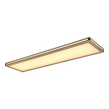 Globo - Plafoniera LED dimmerabile LED/36W/230V 3000K 30x120 cm