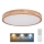Globo - Plafoniera LED dimmerabile LED/48W/230V + telecomando
