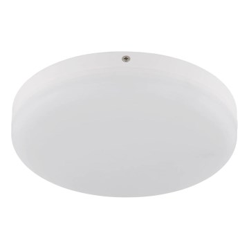 Globo - Plafoniera LED LED/12W/230V 4000K diametro 22 cm bianco