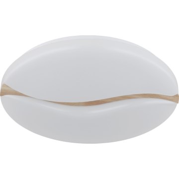 Globo - Plafoniera LED LED/24W/230V 3000/4200/6000K diametro 33 cm