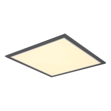 Globo - Plafoniera LED LED/24W/230V