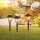 Globo - SET 3x Lampada solare LED 3xLED/1,2V IP44 200 mAh