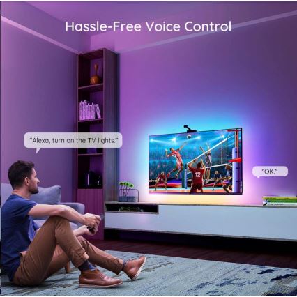 Govee - DreamView TV 75-85 SMART LED retroilluminazione RGBIC Wi-Fi + telecomando