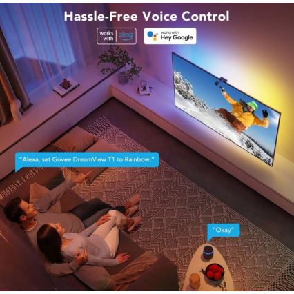 Govee - DreamView TV 75-85 SMART LED retroilluminazione RGBIC Wi-Fi + telecomando