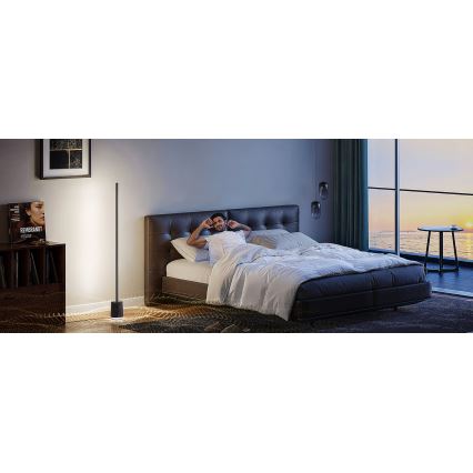Govee - Lampada da terra dimmerabile a LED con altoparlante Pro RGBICWW 2200-6500K Wi-Fi + telecomando