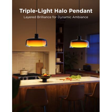 Govee - Lampadario sospeso LED RGBICWW dimmerabile su cavo LED/21W/230V compatibile Matter, Wi-Fi