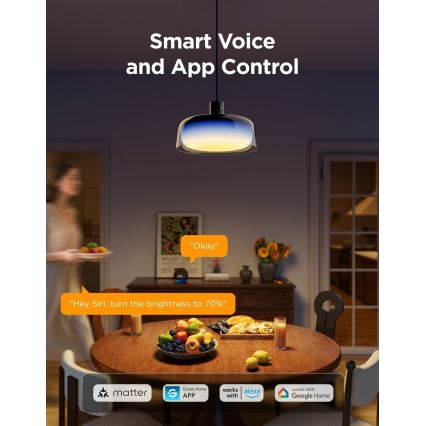 Govee - Lampadario sospeso LED RGBICWW dimmerabile su cavo LED/21W/230V compatibile Matter, Wi-Fi