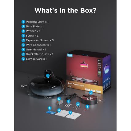 Govee - Lampadario sospeso LED RGBICWW dimmerabile su cavo LED/21W/230V compatibile Matter, Wi-Fi